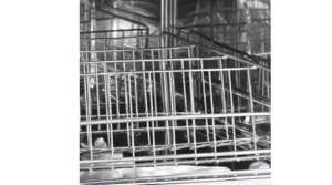 may-rua-ly-coc-cong-nghiep-texgio-CMG1140-gia-up-coc