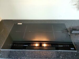 Bếp từ Lorca TA-1008 Pro-1-1