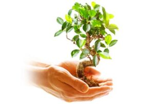 Máy sấy quần áo Bosch WTW87541-2