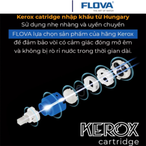 Vòi rửa bát Flova FH 8729-639-2