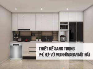 Máy rửa bát Bosch SMS8TCI01E-1