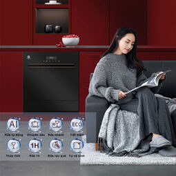 Máy rửa bát Richborn RBDG6064MQ