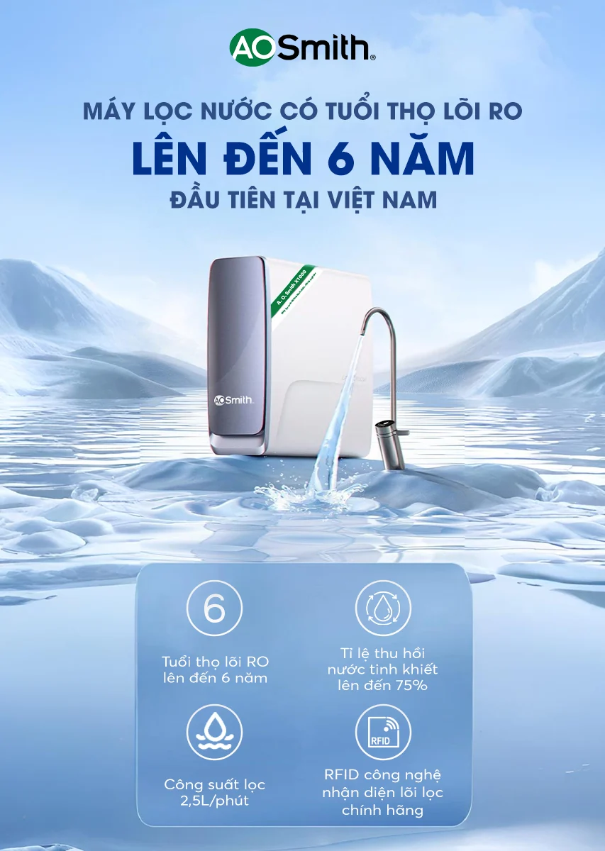 Máy Lọc Nước Đặt Gầm A. O. Smith X1000 [NEW]